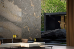 体转型需要尺度共